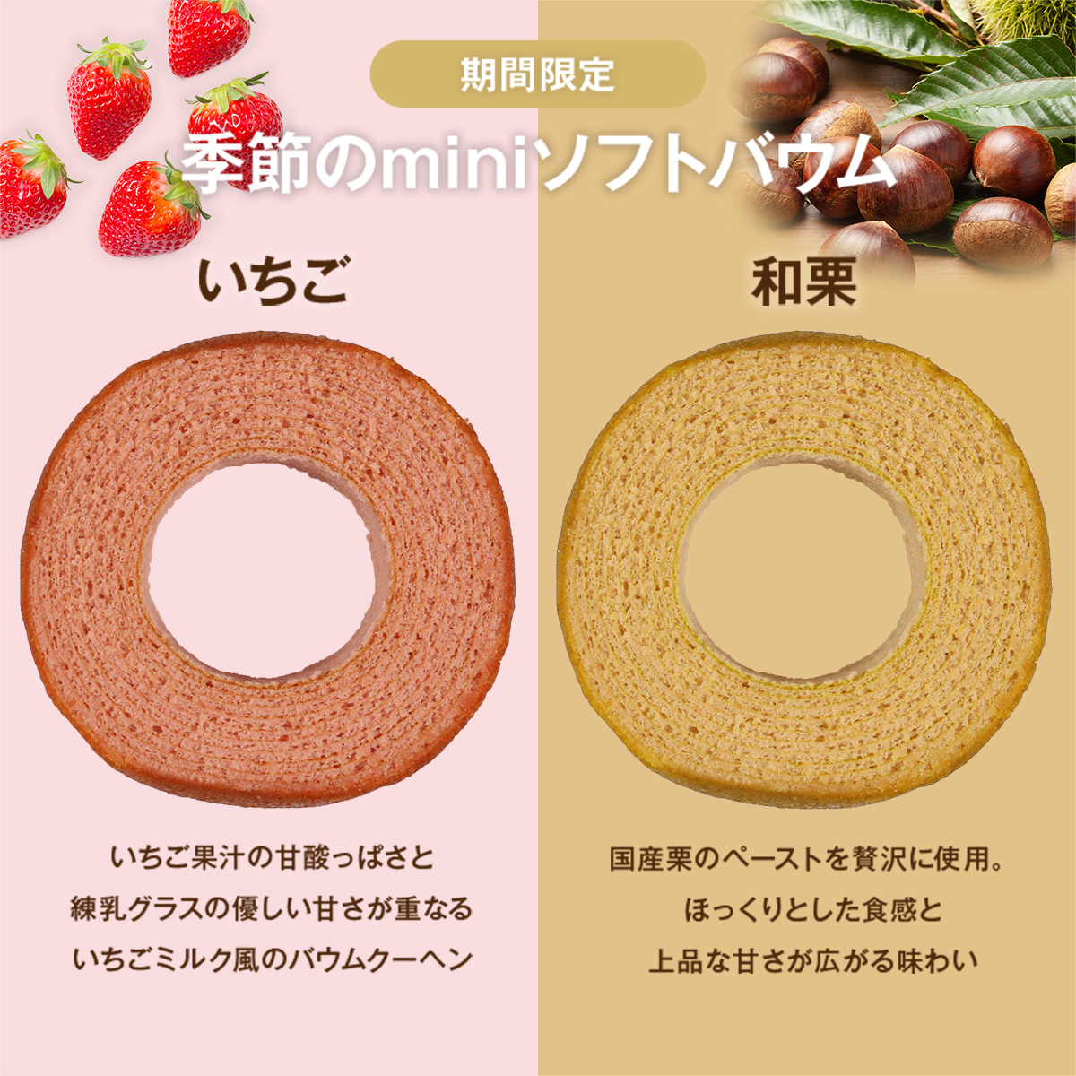 季節のminiソフトバウム