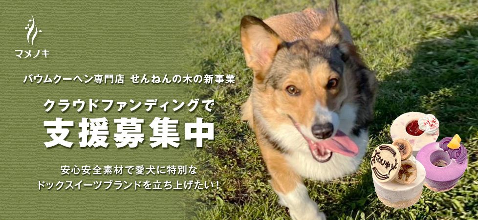 バウムクーヘンの専門店 通販 お取り寄せ ギフトにも人気 せんねんの木